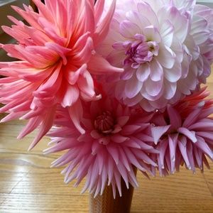 Meet your Posher, Marisa